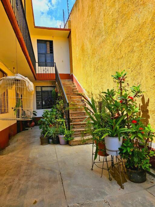Depa Entero 4 Personas! Apartamento Santa Cruz Xoxocotlán Exterior foto
